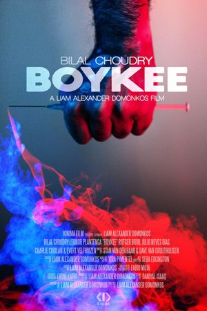 Boykee's poster