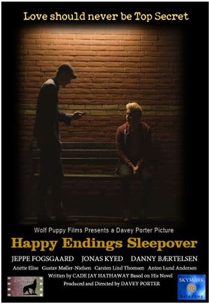 Happy Endings Sleepover's poster