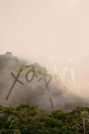 Xapiri's poster