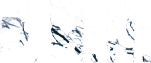 R.M.N.'s poster
