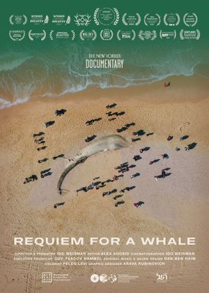 Requiem for a Whale's poster