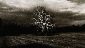 Landscape (for Manon)'s poster
