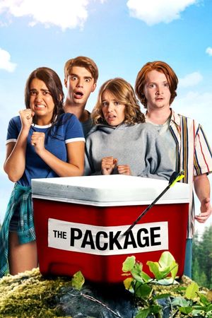 The Package's poster