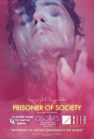 Prisoner of Society's poster