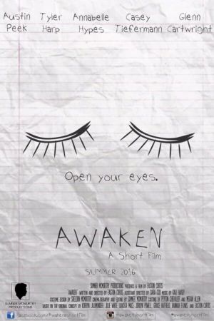 Awaken's poster