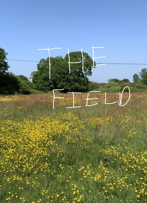 The Field's poster