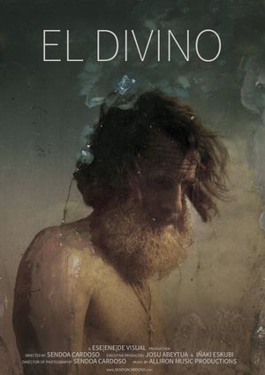 The Divine's poster image