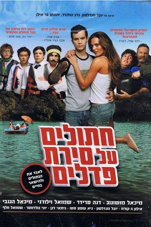Cats on a Pedal Boat's poster