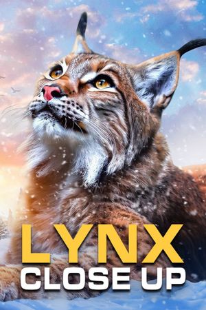 Lynx - Close Up's poster