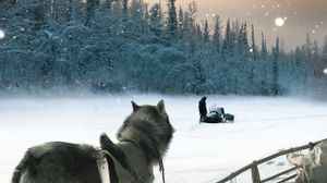 Happy People: A Year in the Taiga's poster