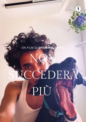 Non succederà più's poster