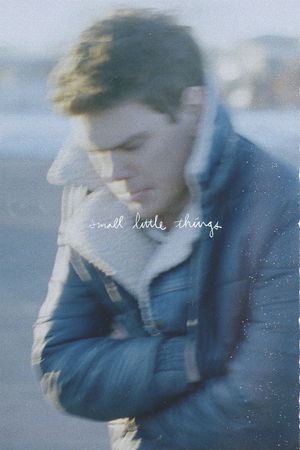 Small Little Things's poster