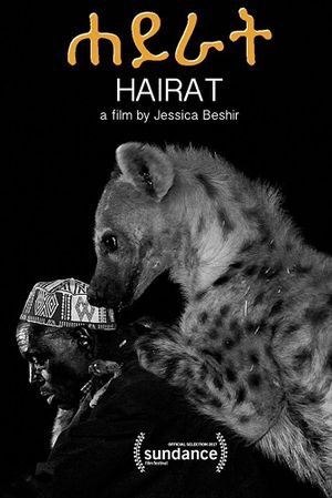 Hairat's poster
