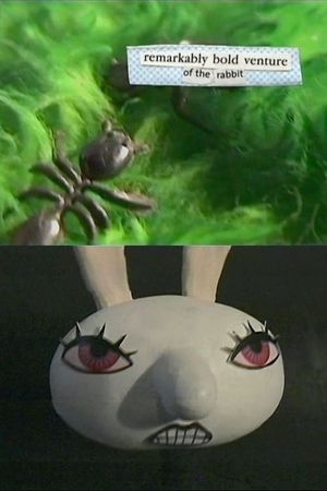 Remarkably Bold Venture of the Rabbit's poster