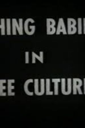 Bathing Babies In Three Cultures's poster