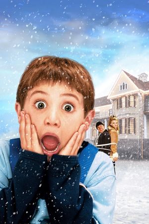 Home Alone 4's poster