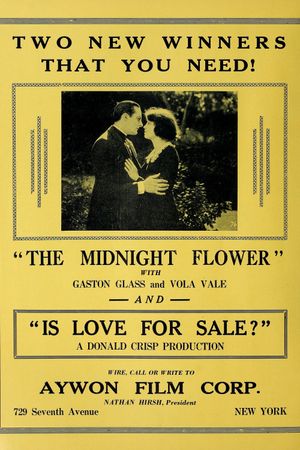 The Midnight Flower's poster