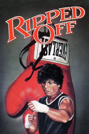 The Boxer's poster