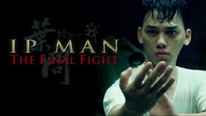 Ip Man: The Final Fight's poster