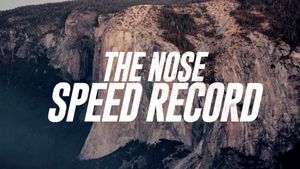 The Nose Speed Record's poster