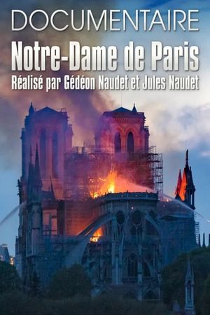 Notre-Dame de Paris des Frères Naudet's poster