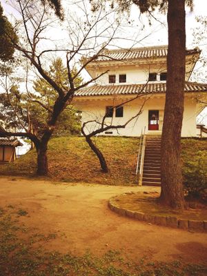 Sanae's Journey to Tsuchiura Castle's poster