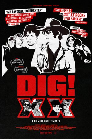 DIG! XX's poster