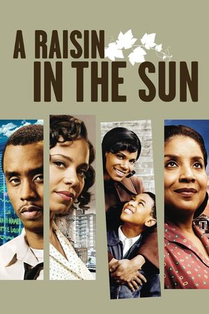 A Raisin in the Sun's poster image