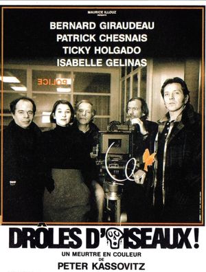 Drôles d'oiseaux's poster