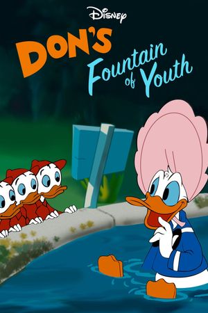 Don's Fountain of Youth's poster