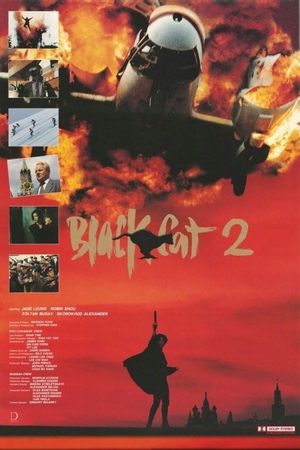 Black Cat 2's poster