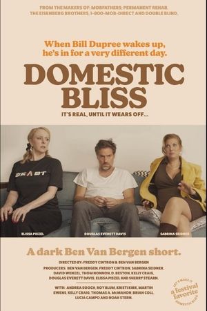 Domestic Bliss's poster