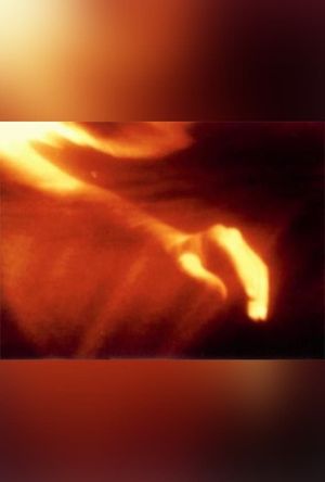Fire Birth's poster