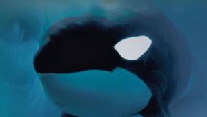 Keiko: The Untold Story of the Star of Free Willy's poster