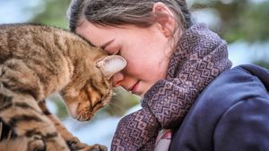 A Cat's Life's poster