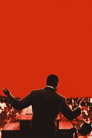 King In The Wilderness's poster