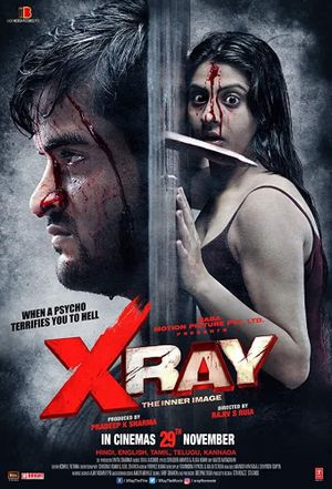 X Ray: The Inner Image's poster