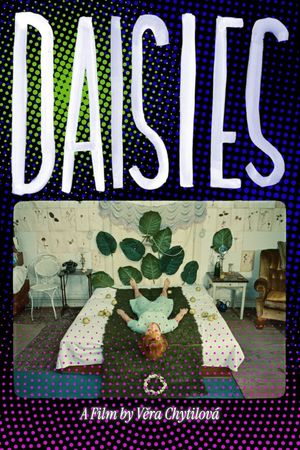 Daisies's poster