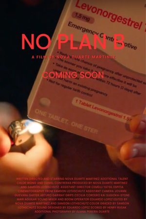 No Plan B's poster