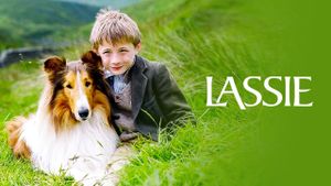 Lassie's poster