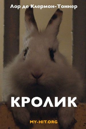 Rabbit's poster