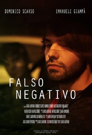 False Negative's poster