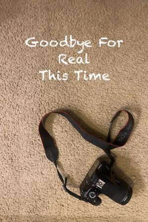 Goodbye For Real This Time's poster