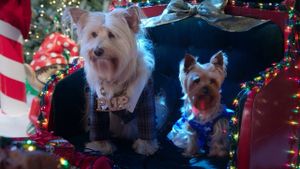 Puppy Star Christmas's poster