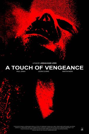 A Touch of Vengeance's poster