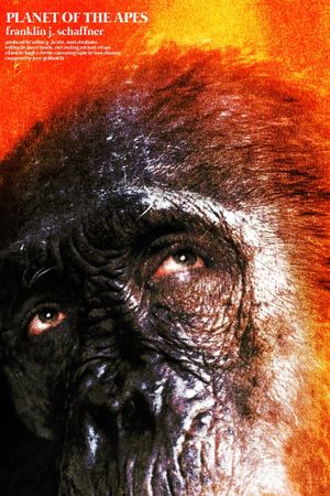 Planet of the Apes's poster