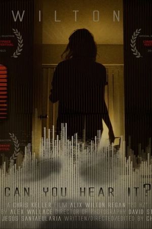 20 Hz's poster