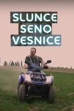 Sun, Hay, Village's poster