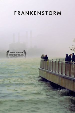 FRANKENSTORM: From Across the East River's poster image