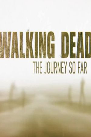 The Walking Dead: The Journey So Far's poster